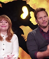 495.jpg